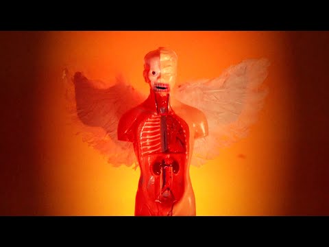 Maybe It's A Fantasy - Johnny Goth (Official Music Video)