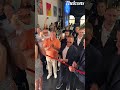Jean Claude Van Damme Happy After Opening A Watch Business In Dubai Jeanclaudevandamme