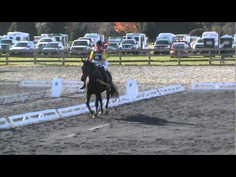 Sara Smash Waredaca BN 11-6-11