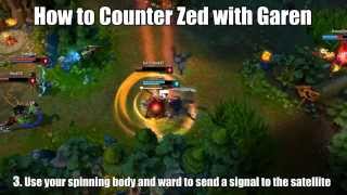 Wood Division Adventures 3/9 - How to Counter Zed
