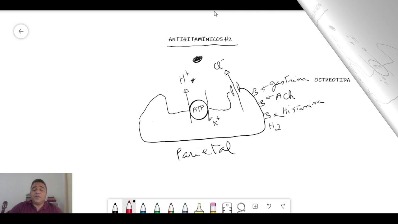Antihistamínicos H2