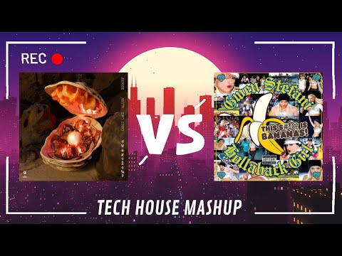 Aluna, Chris Lake vs Gwen Stefani - Beggin' vs Hollaback Girl (Celas Monteiro Mashup)