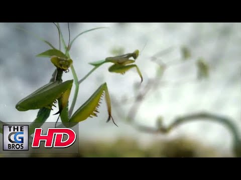 CGI 3D Animated Spot : "Science Channel Idents" by - Dvein /Blacklist