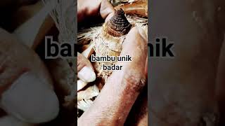 Download lagu bambu unik badar dibambu kuning mp3