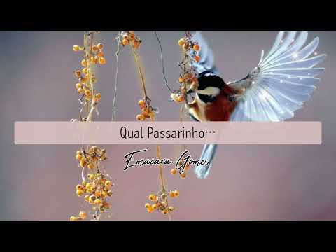 Qual Passarinho - Hino Avulso - Emaiara Gomes
