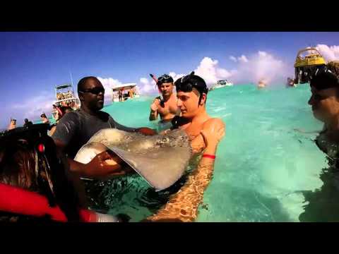 Cayman islands snorkeling - delinquentin trip