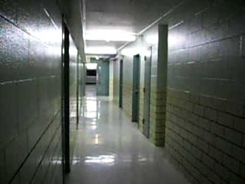 Scuba Steve Gets Antiqued... AGAIN!!