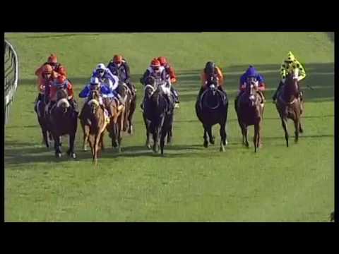 2016.07.31 Premiers Champion Stakes (RSA) - Gunner