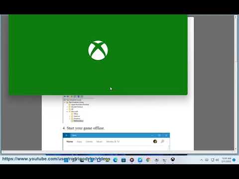 Video preview