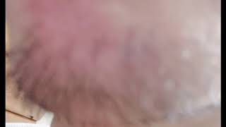 ひげ【ASMR】