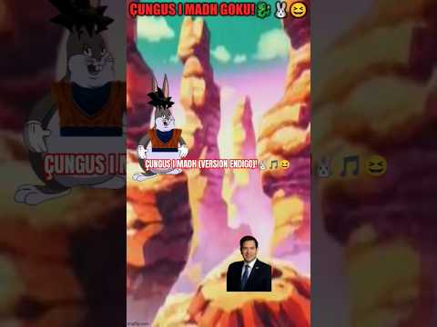 Big Chungus Goku 🆚 Marco Rubio!