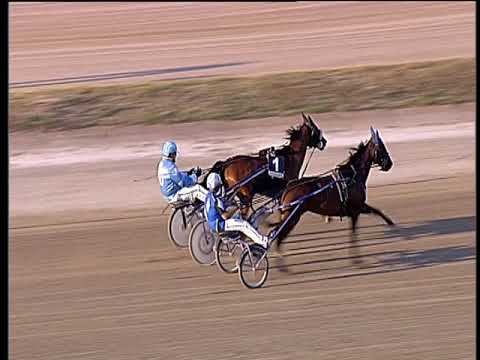 Trotto 30/09/2018 - 3ª prova di qualifica