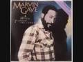 Marvin Gaye - His eye is on the sparrow ( ALTERNATE VERSION