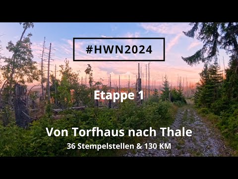 Hike from Torfhaus to Thale - 130 km & 36 Stamps - Stage 1