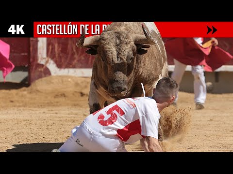 4K ▪ CASTELLÓN DE LA PLANA ▪ Magdalena 2023 ▶ Recorte libre