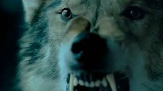 Download lagu sinema.pg mp3 Download lagu sinema.pg mp3