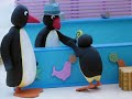 Pingu S02e16 Pingu At The Funfair