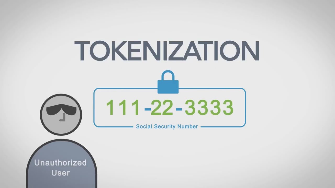 Protegrity Securing Sensitive Data 2-Minute Explainer Video