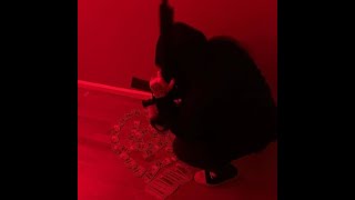 *FREE* LOOP KIT 2024 VIOLENCE 🌟 (Dark/Evil Plugg, Lazer Dim 700, Slimesito, Lil Tony, Glokk40spaz)