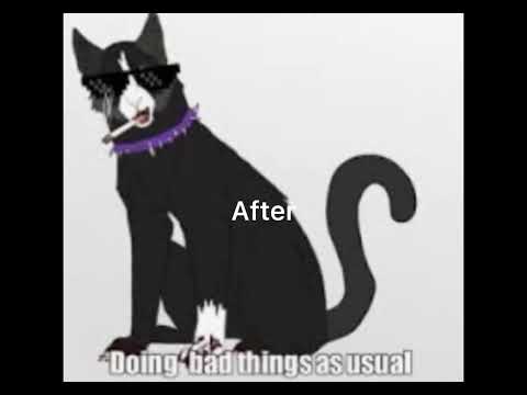 Scourge killing tigerstar