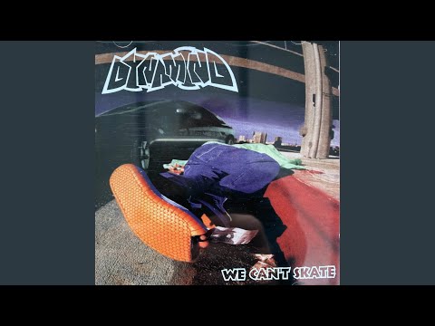 We Can't Skate