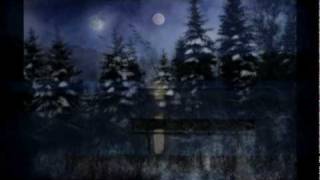 Between Here and Gone