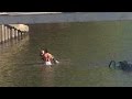 Brave Body Builder Rescues Woman From Sinking Car It S The Right Thing To Do