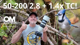 OM SYSTEM 50-200 + 1.4 Teleconverter Bird & Wildlife Photography with OM-1 Mark II