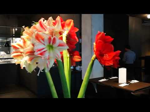 MỜI THĂM NHÀ HÀNG ĐÔNG Á TẠI BERLIN