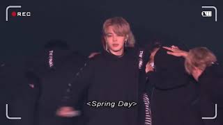 BTS - Spring Day (in Concert 2018) HD