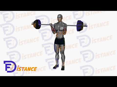 Exercice Curl inversé avec barre