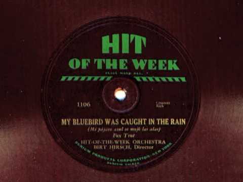 My Bluebird Was Caught In The Rain by Hit Of The Week Orchestra, 1930