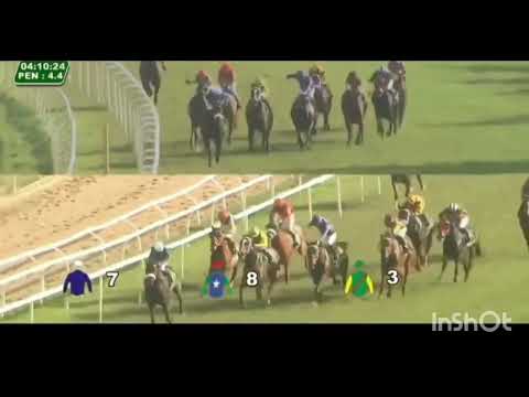 DUKE OF TUSCANY win the ltd trophy 🏆🏆.4/7/1..