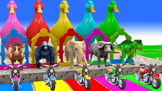 Video thumbnail image