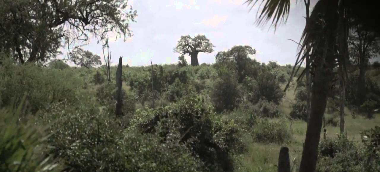 Chilo Gorge Safari Lodge