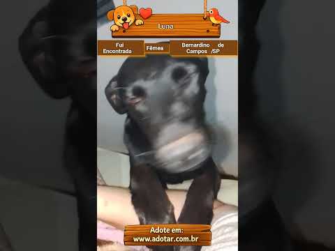 Vídeo de Luna