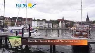 preview picture of video 'Hotel Arcadia, Flensborg - Feline Holidays'
