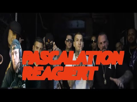 Twin x Ramo x Hemso x Niqo Nuevo - Lowkey (prod. by Niqo Nuevo) REACTION