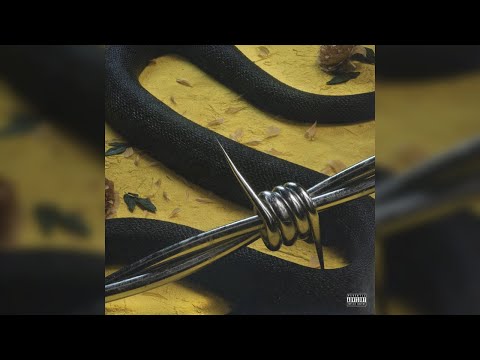 Rockstar [Remix] - Post Malone (feat. 21 Savage, Nicki Minaj, Joey Bada$$ & Lil Wayne)