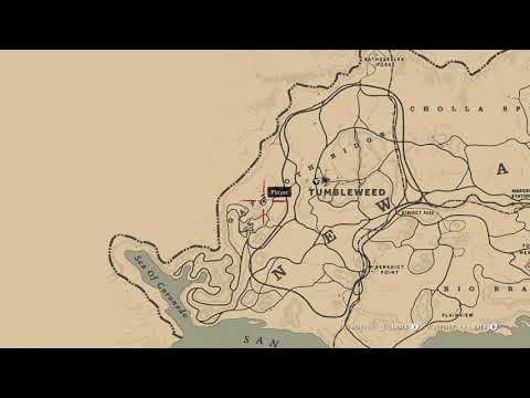 RDR2 Legendary Cougar