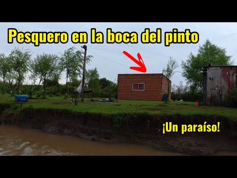 ¡Baradero tiene un NUEVO PESQUERO y es un PARAÍSO! 🎣 Pesca y zeppoles a la orilla del río🫦🎣