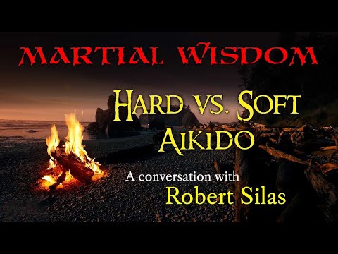 Ep. 146 - Hard vs. Soft Aikido - with Robert Silas
