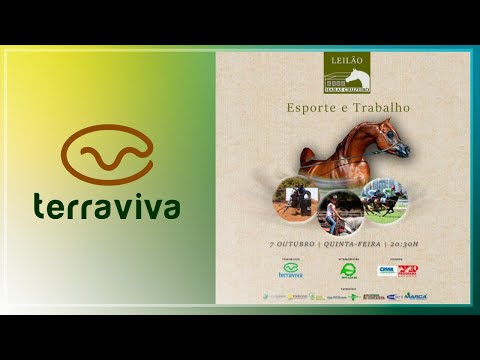 Leilão Virtual Haras Cruzeiro | 07/10 às 20h35