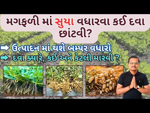 Amino Acid Plant Growth Promoter