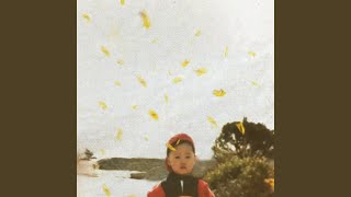 Acacia (아카시아)