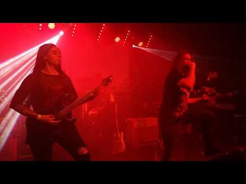 Eagle Has Landed  Live (Dürer kert 2020.01.25)