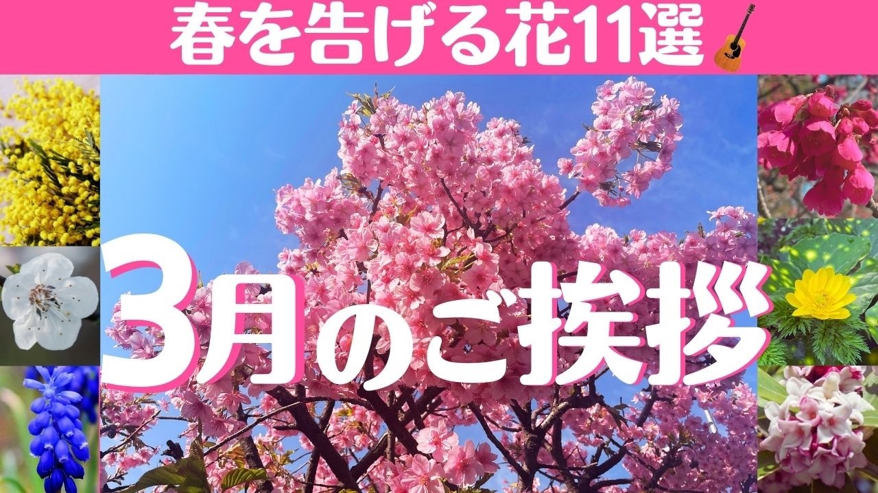 【3月のご挨拶(春を告げる花）】・LINEで送る春の挨拶カード・ギターBGM