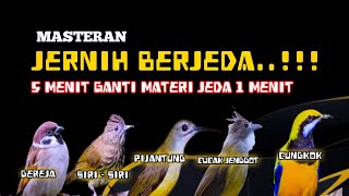 Download lagu 2 jam Masteran kombinasi JERNIH BERJEDA tiap 5 menit ganti materi jeda 1 menit mp3