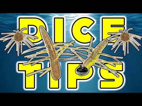 Fuzzy Dice Fishing! Is This Trend Real? What You Need To Know!