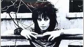 Joan Jett Bird Dog